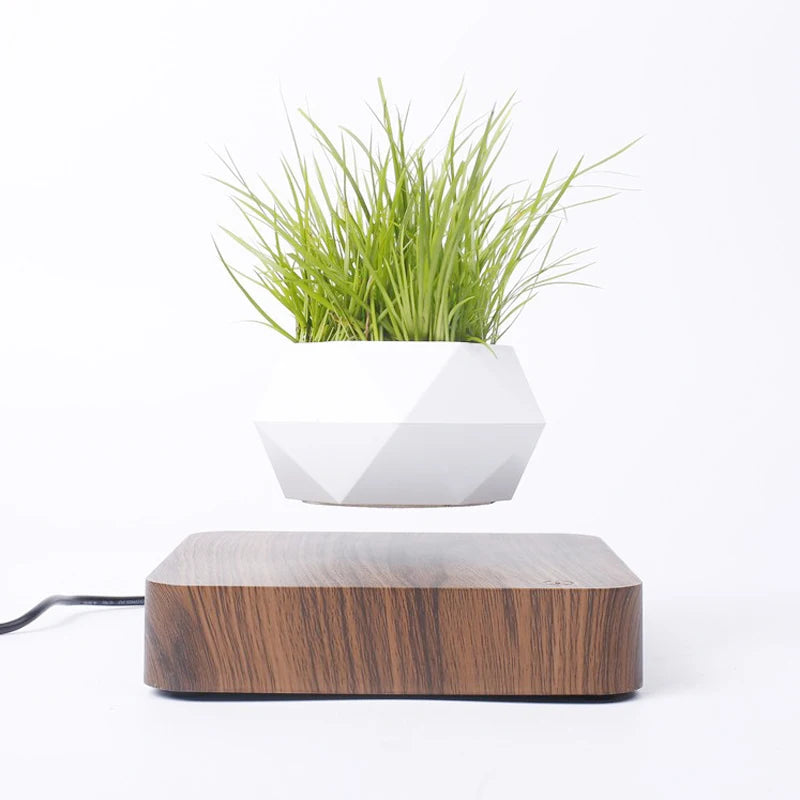 Magnetic Suspension Flower Pot Levitating Air Bonsai Pot Plant Pot Succulent Pot Patio Decoration Desktop Flower/Green Plant