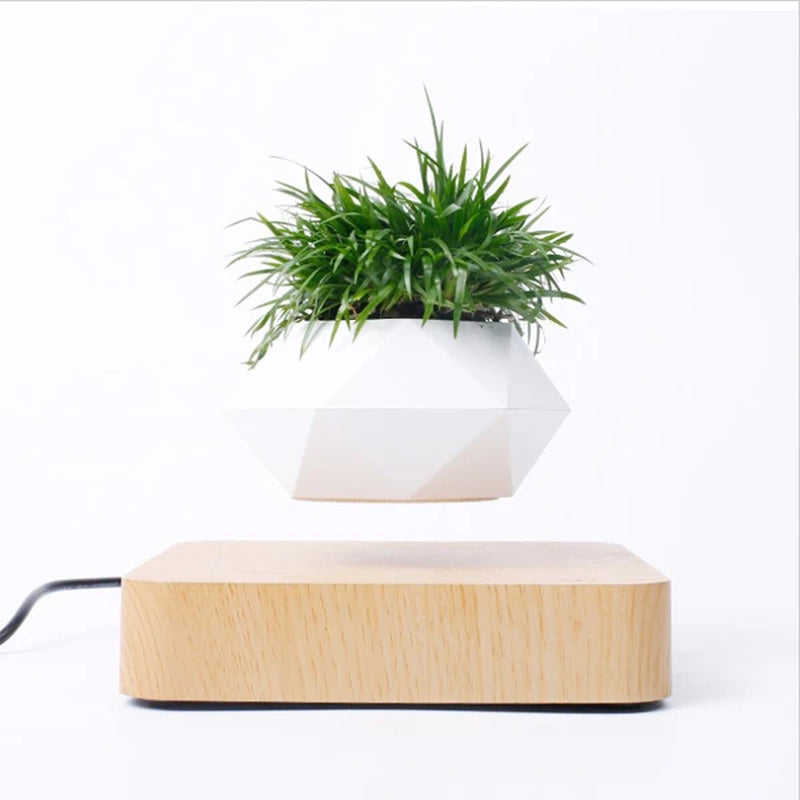 Magnetic Suspension Flower Pot Levitating Air Bonsai Pot Plant Pot Succulent Pot Patio Decoration Desktop Flower/Green Plant