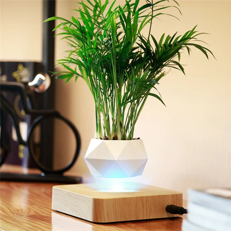 Magnetic Suspension Flower Pot Levitating Air Bonsai Pot Plant Pot Succulent Pot Patio Decoration Desktop Flower/Green Plant