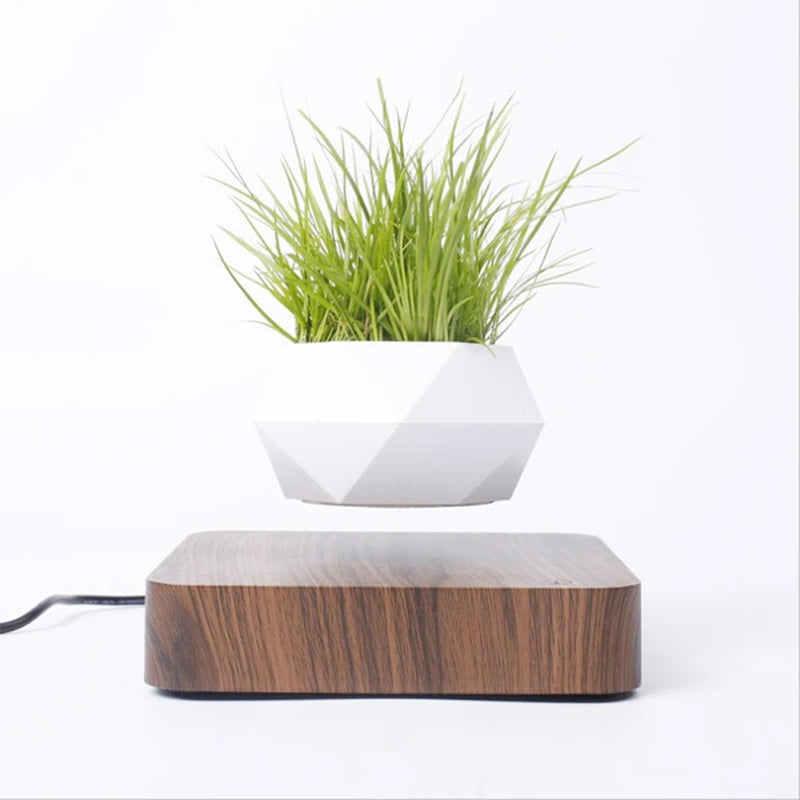Magnetic Suspension Flower Pot Levitating Air Bonsai Pot Plant Pot Succulent Pot Patio Decoration Desktop Flower/Green Plant